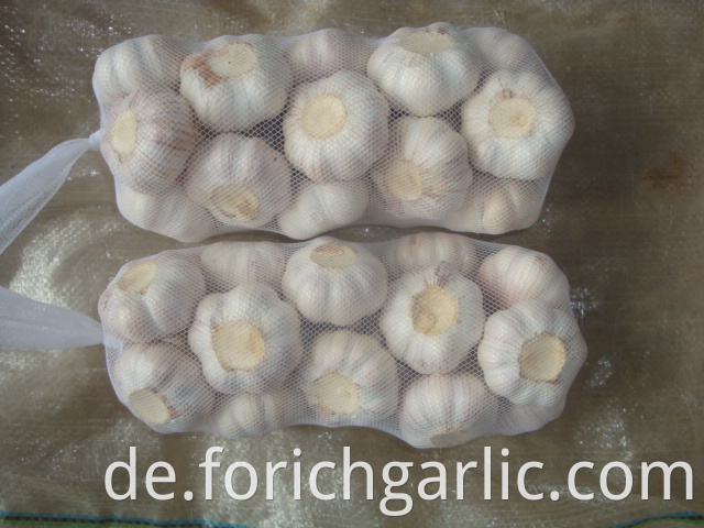 1kg Normal White Garlic